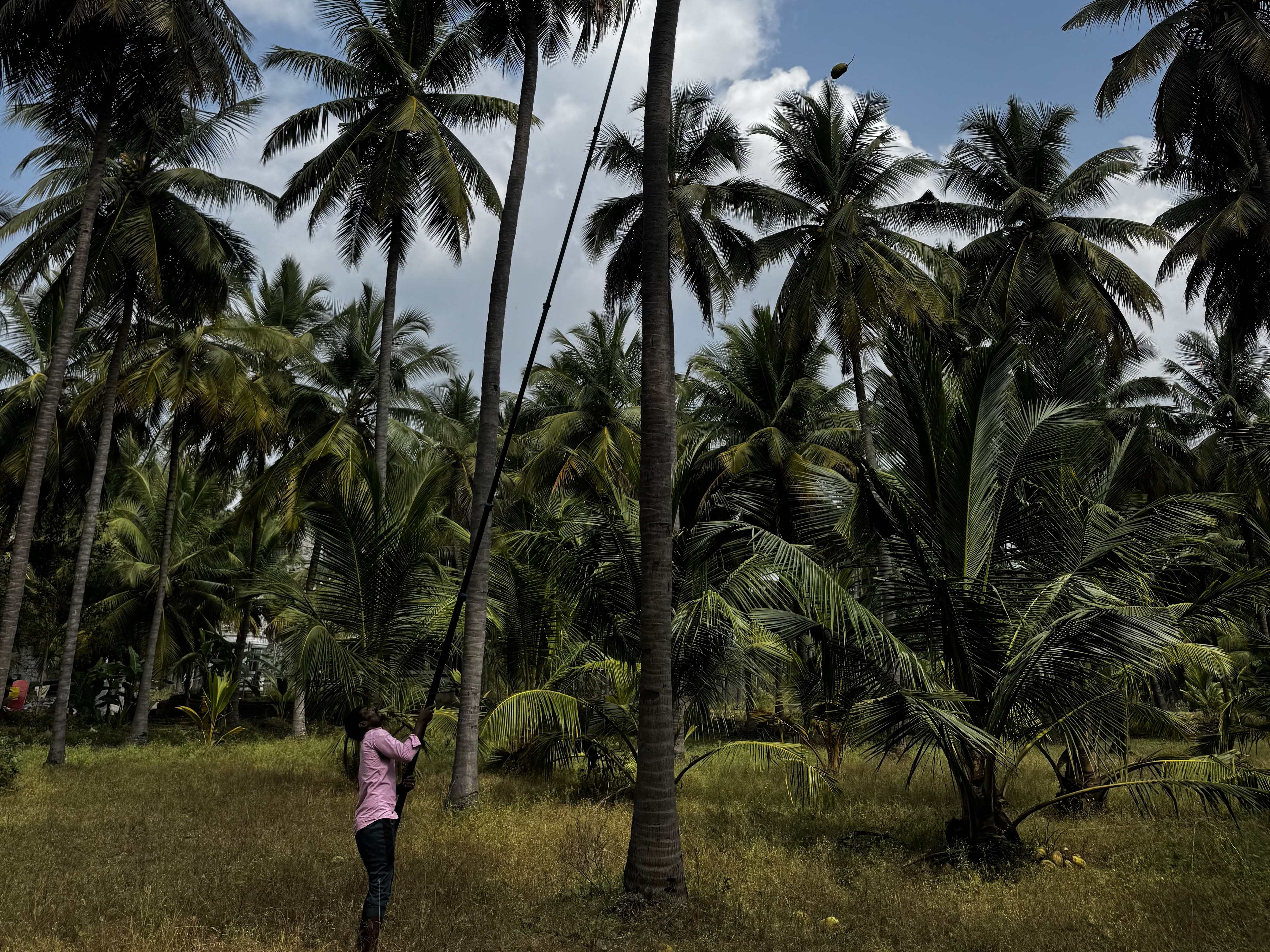 Export Container Loading